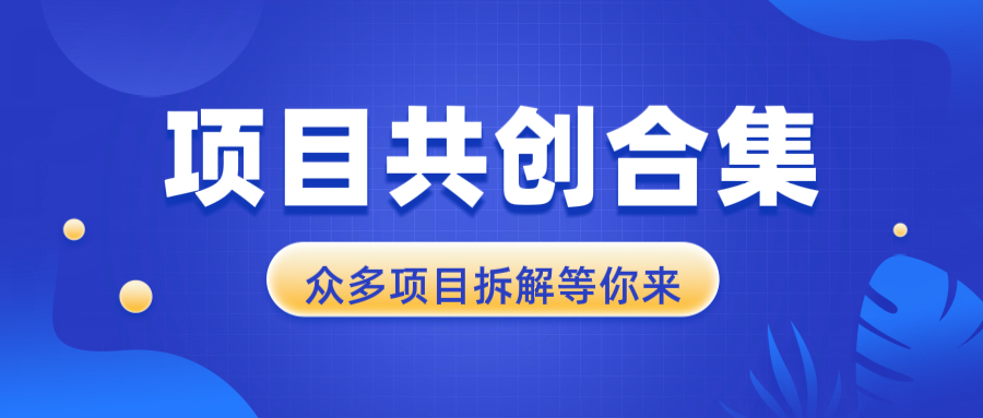 （13778期）项目共创合集，从0-1全过程拆解，让你迅速找到适合自已的项目 - 白戈学堂-白戈学堂