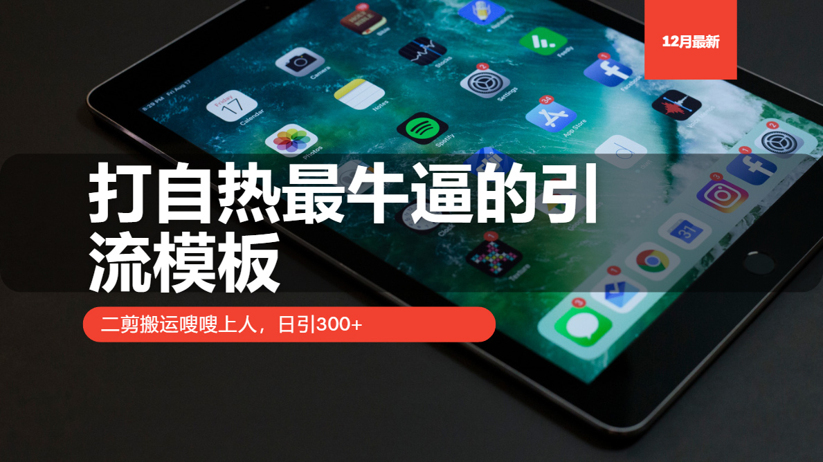 （13654期）打自热最牛逼的引流模板，二剪搬运嗖嗖上人，日引300+ - 白戈学堂-白戈学堂