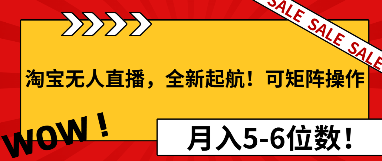 （13946期）淘宝无人直播，全新起航！可矩阵操作，月入5-6位数！-白戈学堂