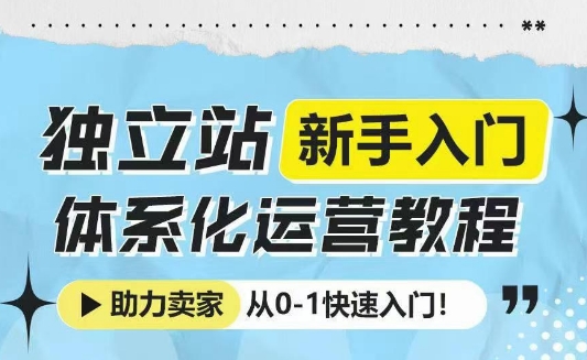 独立站新手入门体系化运营教程，助力独立站卖家从0-1快速入门!-白戈学堂