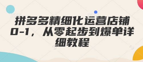 拼多多精细化运营店铺0-1，从零起步到爆单详细教程-白戈学堂