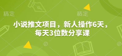 小说推文项目，新人操作6天，每天3位数分享课-白戈学堂