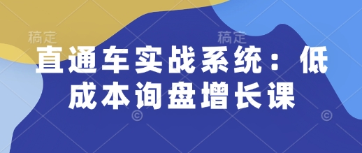 直通车实战系统：低成本询盘增长课，让个人通过技能实现升职加薪，让企业低成本获客，订单源源不断-白戈学堂