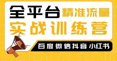 全平台精准流量实战训练营，百度微信抖音小红书SEO引流教程-白戈学堂