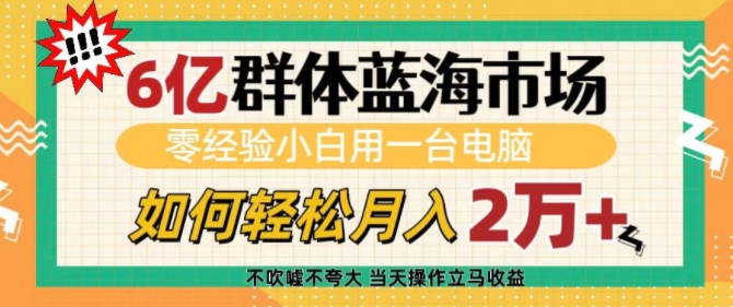 6亿群体蓝海市场，零经验小白用一台电脑，如何轻松月入过w-白戈学堂