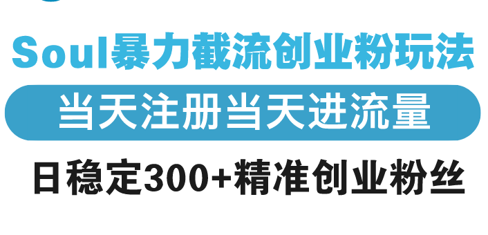 （13935期）Soul暴力截流创业粉玩法，当天注册当天进流量，日稳定300+精准创业粉丝-白戈学堂