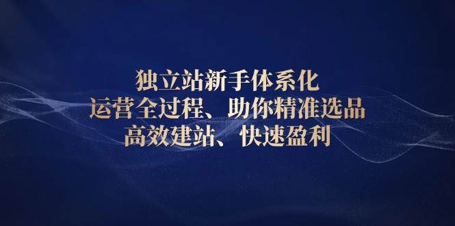 独立站新手体系化 运营全过程，助你精准选品、高效建站、快速盈利-白戈学堂