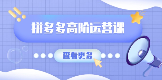 （14327期）拼多多高阶运营课：极致群爆款玩法，轻付费无尽复制，打造单品爆款之路-白戈学堂