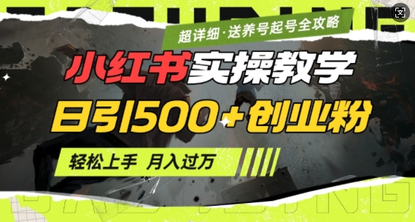 2月小红书最新日引500+创业粉实操教学【超详细】小白轻松上手，月入1W+，附小红书养号起号SOP-白戈学堂