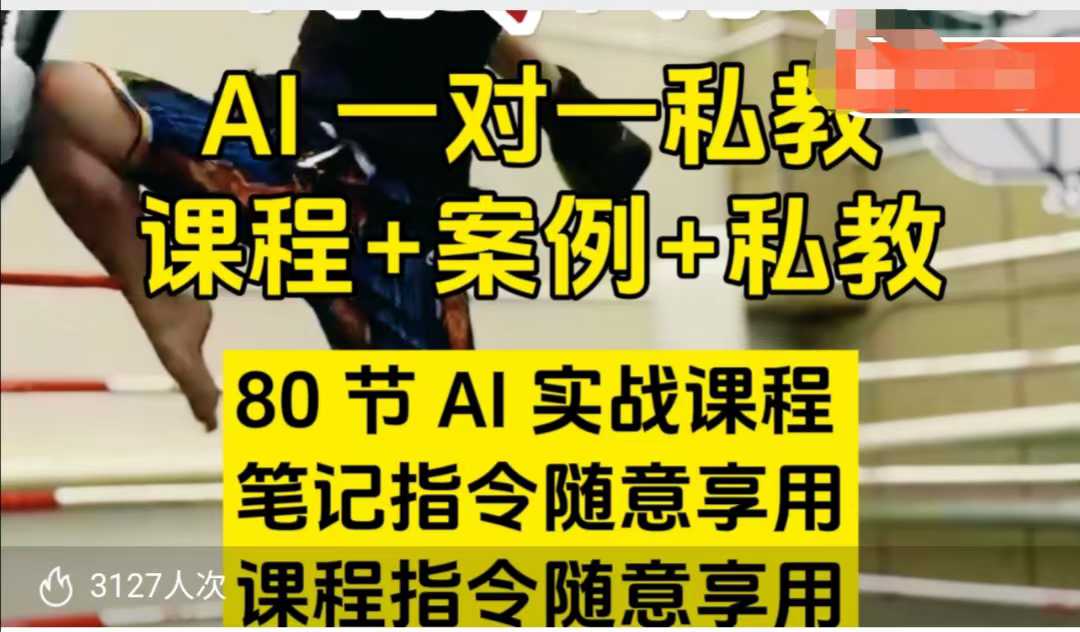 AI指令实战课，课程+案例，80节AI实战课程，笔记指令随意享用，课程指令随意享用-白戈学堂