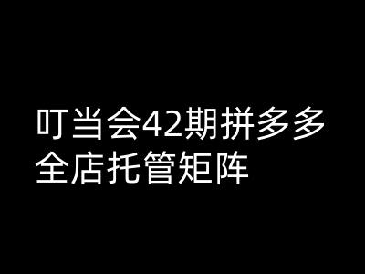 叮当会拼多多打爆班原创高阶技术第42期，拼多多全店托管矩阵-白戈学堂