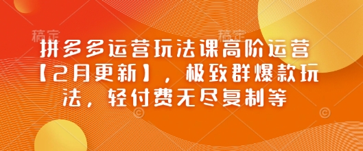 拼多多运营玩法课高阶运营【2月更新】，极致群爆款玩法，轻付费无尽复制等-白戈学堂