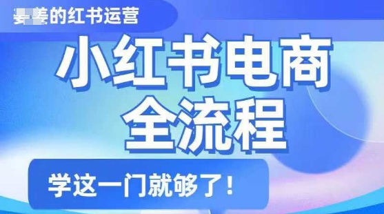 小红书电商全流程，精简易懂，从入门到精通，学这一门就够了-白戈学堂