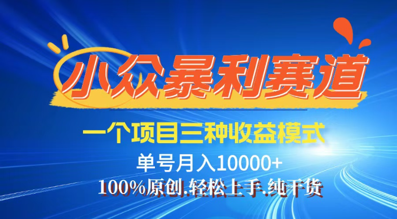 （14300期）【灵狐计划】视频号最新爆火赛道，三种收益模式，0粉新号条条热门原创…-白戈学堂