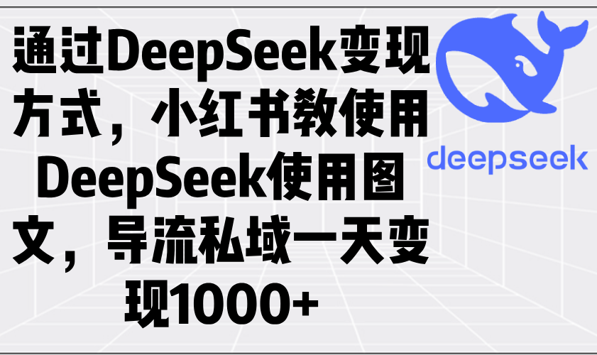 （14179期）通过DeepSeek变现方式，小红书教使用DeepSeek图文，导流私域一天变现1000+-白戈学堂