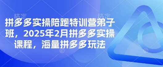 拼多多实操陪跑特训营弟子班，2025年2月拼多多实操课程，海量拼多多玩法-白戈学堂