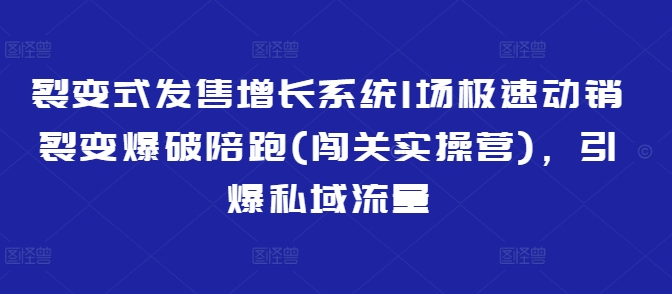 裂变式发售增长系统1场极速动销裂变爆破陪跑(闯关实操营)，引爆私域流量-白戈学堂