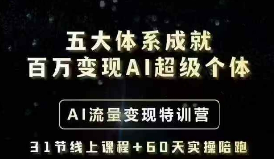 五大体系成就百万变现AI超级个体- AI流量变现特训营，一步一步教你一个人怎么年入百W-白戈学堂