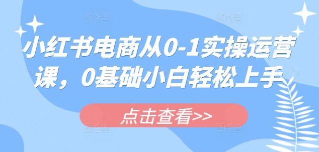 小红书电商从0-1实操运营课，0基础小白轻松上手-白戈学堂