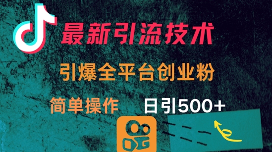 最新引流方法，引爆全平台的一个创业粉，简单操作日引300+-白戈学堂