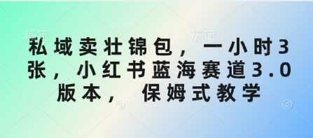 私域卖壮锦包，一小时3张，小红书蓝海赛道3.0版本， 保姆式教学-白戈学堂