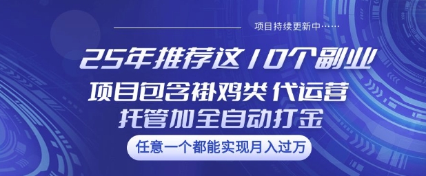 25年推荐这10个副业项目包含褂鸡类、代运营托管类、全自动打金类-白戈学堂