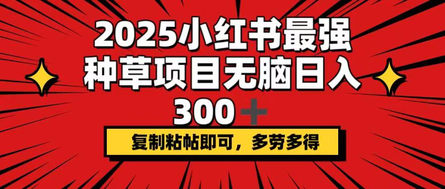 （14375期）2025小红书最强种草项目，无脑日入300+，复制粘帖即可，多劳多得-白戈学堂